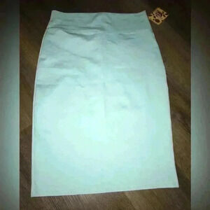Hybrid NWT Light Blue Pencil Skirt Size XL